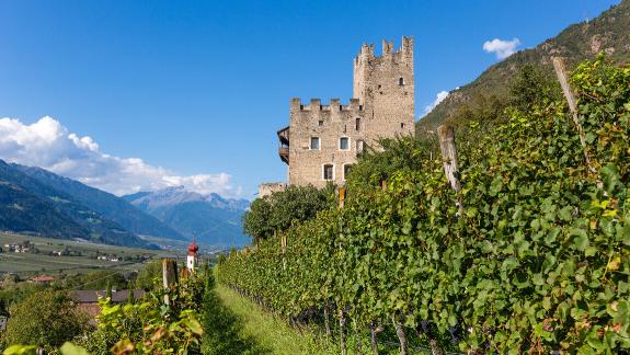 🌞 Frühbucherbonus – jetzt Ihren Aufenthalt sichern!